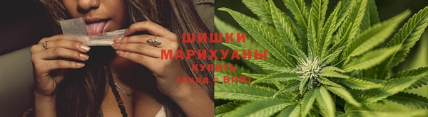 СК Горно-Алтайск
