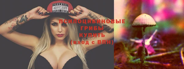 jwh Тобольск