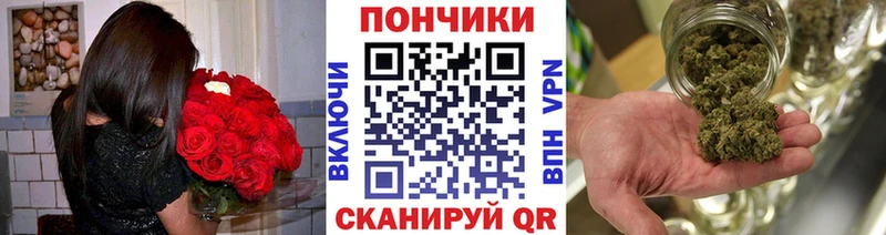 Канабис гибрид  Дальнереченск 
